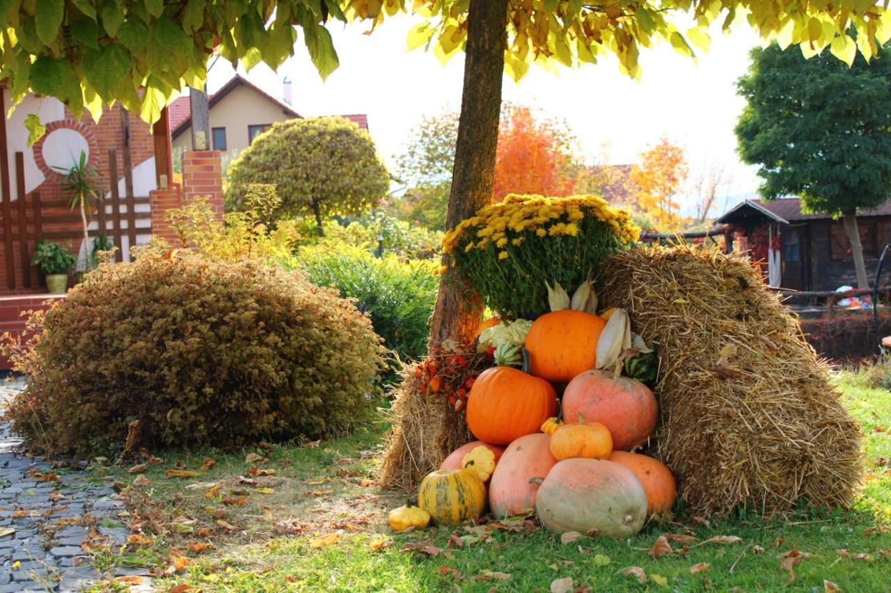 Bungalouri Horizont Odorheiu Secuiesc Dış mekan fotoğraf